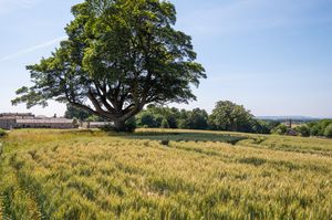 Conyers Place- click for photo gallery